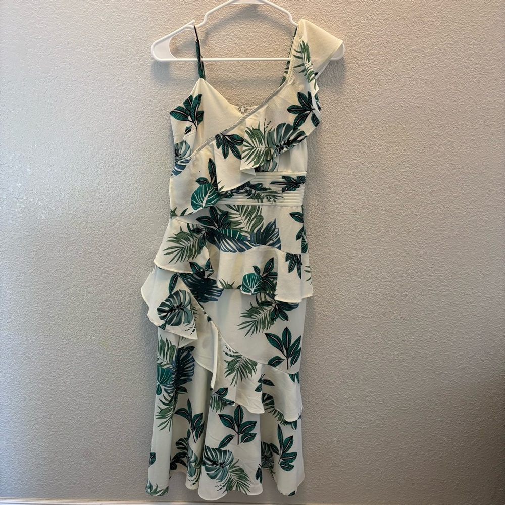 Walter Baker Dress